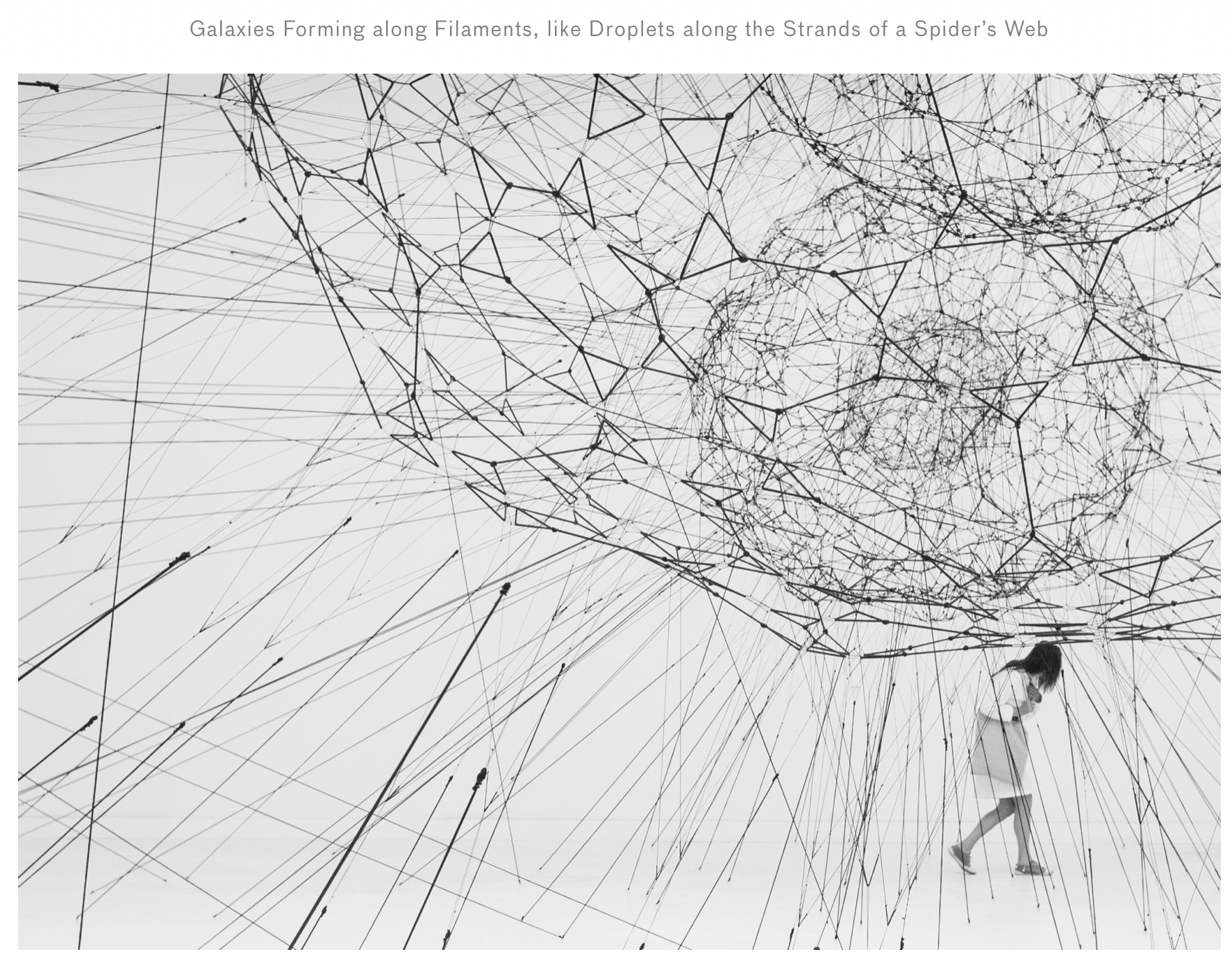 Amazing Arachnophilia by Tomás Saraceno